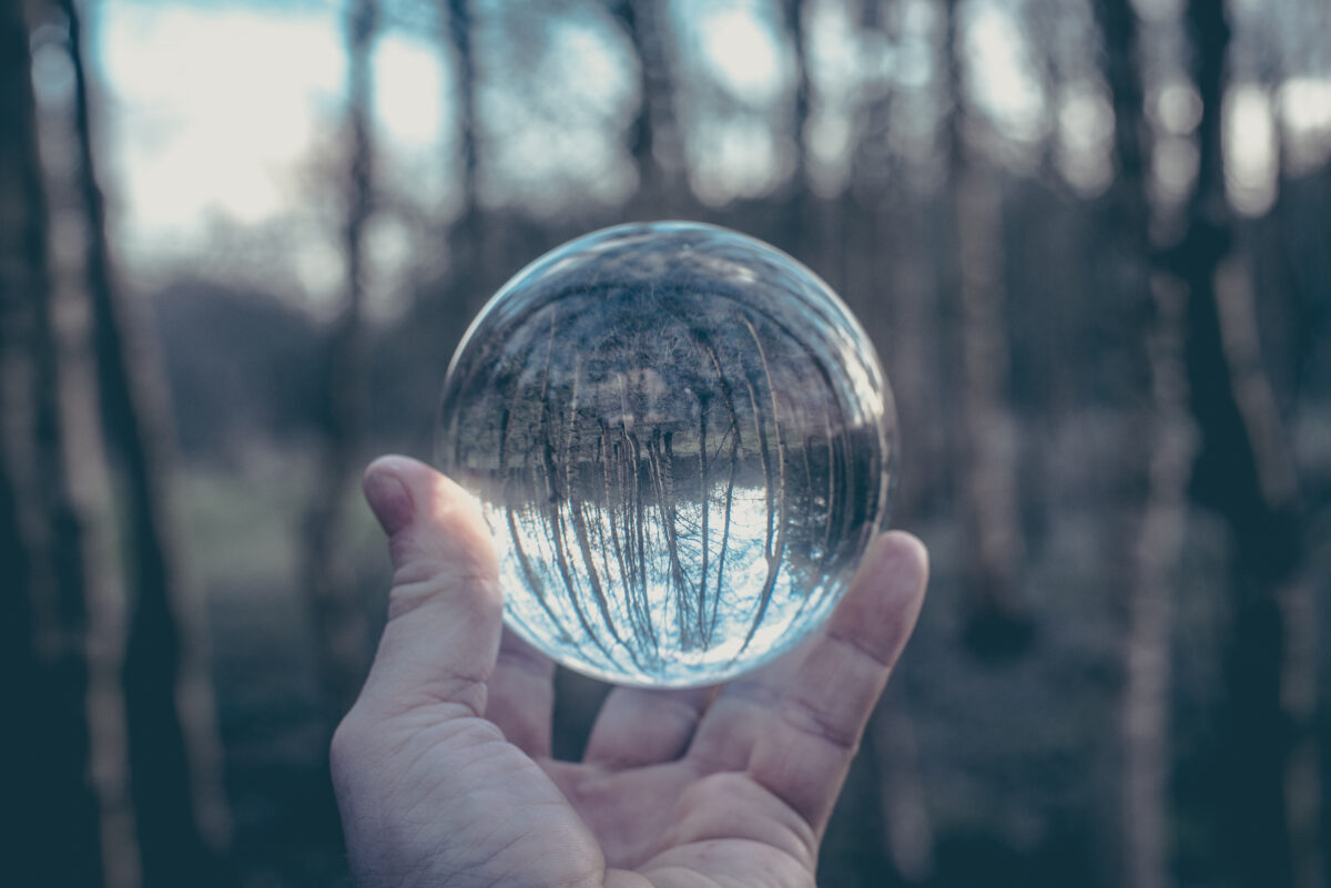 Glass,Ball,Display,Forest,,,Abstract,Meaning,Fortune,Journey,Magic